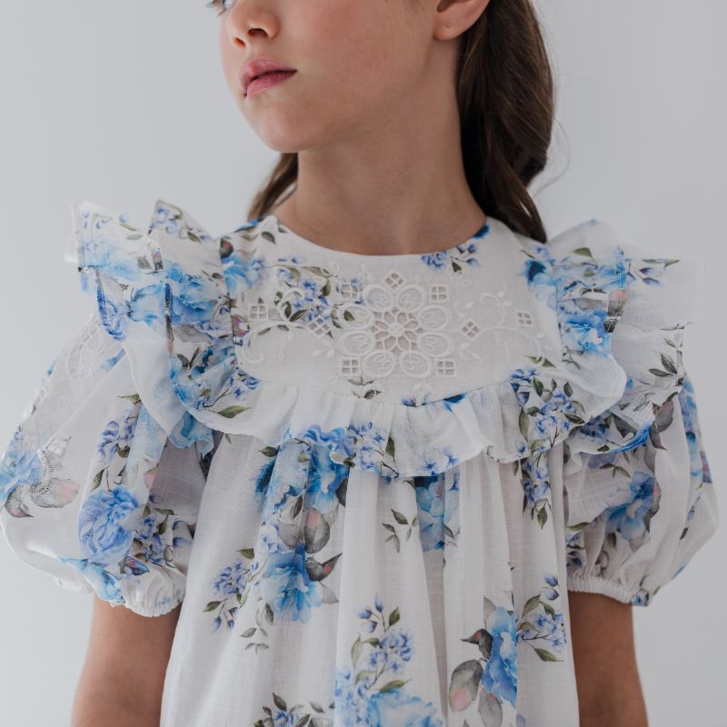 Embroidered Dress - Blue Rose