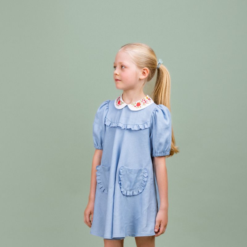 Embroidered Collar Dress - Blue