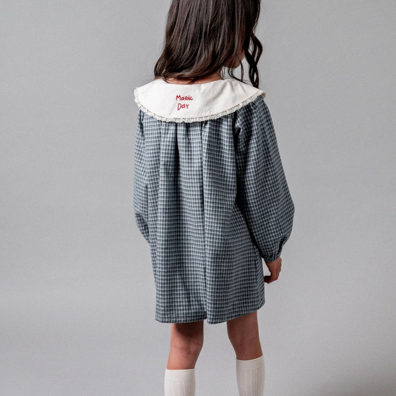 Gingham Embroidered Dress - Indigo