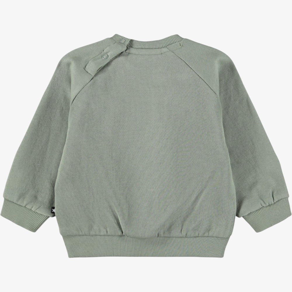 DISC SWEATSHIRT - Cladonia