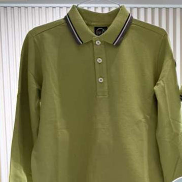 Stripe Collar Polo - Beetle