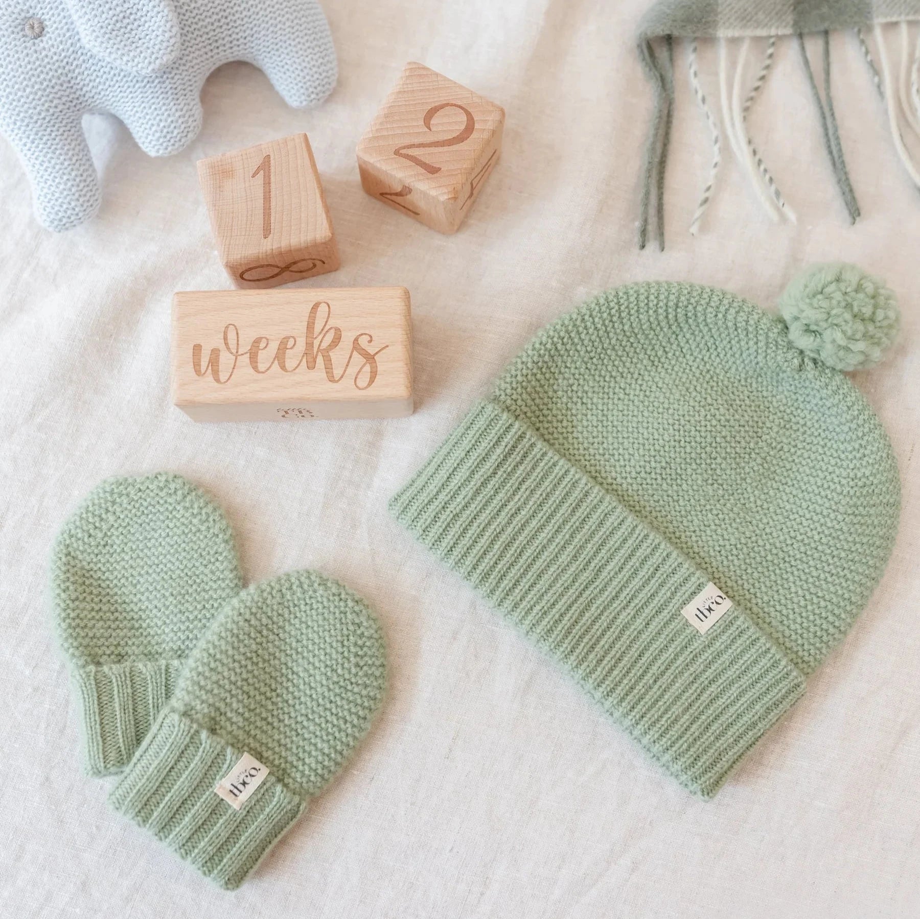 Wool Mitten - Pistachio