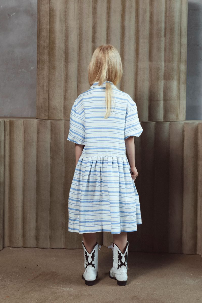 Fern Dress - Blue