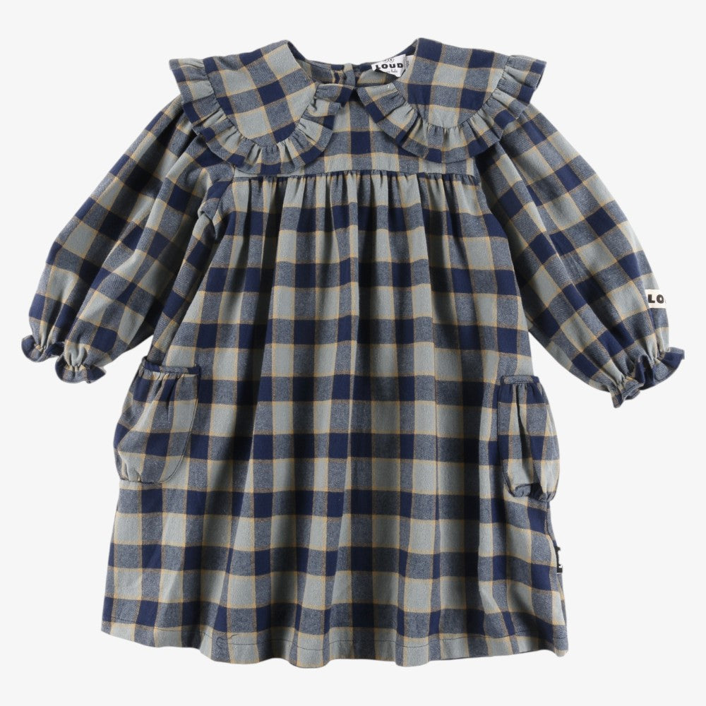 Collar Dress - Indigo Check