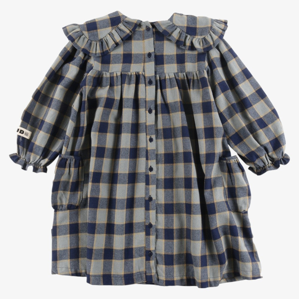 Collar Dress - Indigo Check