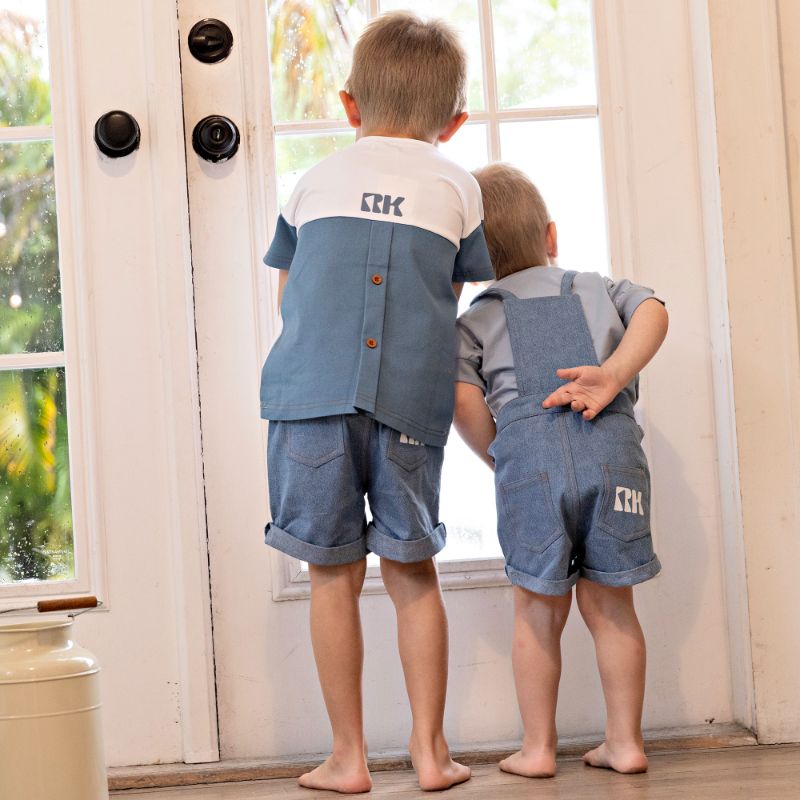 Hollis Shorts - Denim