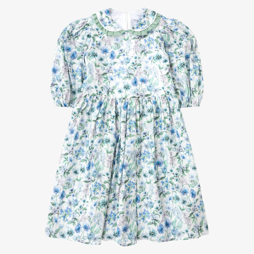 Fairytale Maxi Dresss - Blue