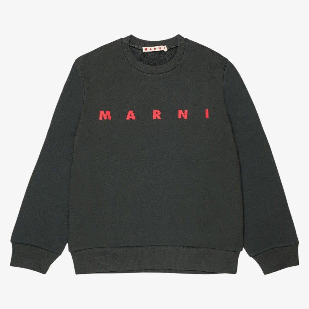 Logo Sweatshirt - Grey