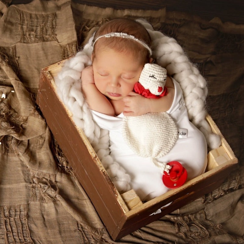 Baby Rattle Pacifier - White/red