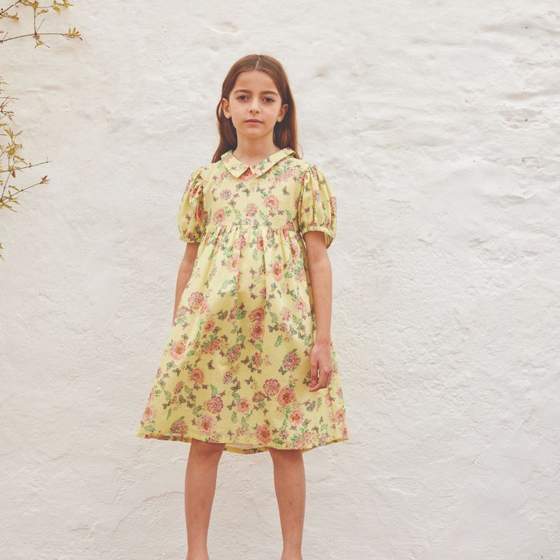 Sophia Dress - Spring Meadow