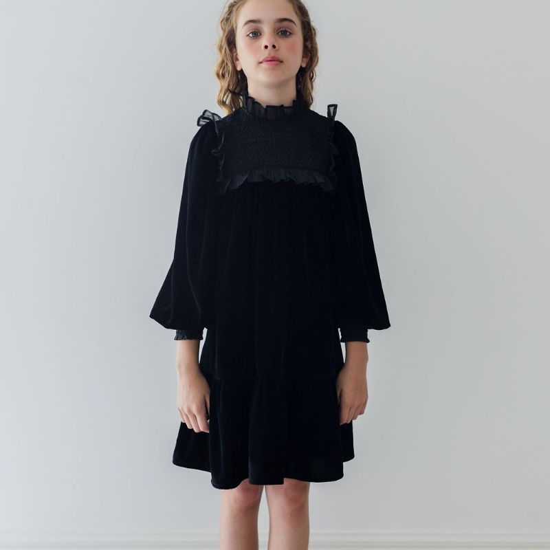 Shirred Organza Velvet Dress - Black