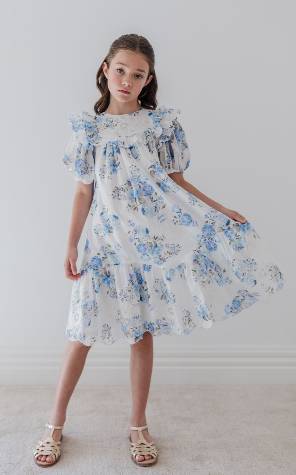 Embroidered Dress - Blue Rose