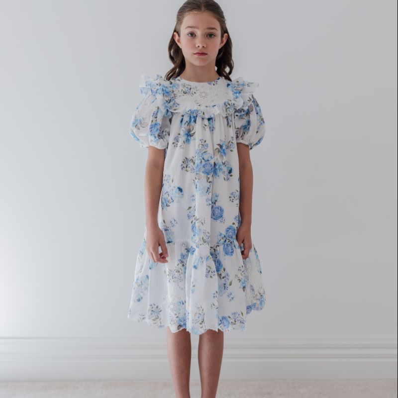 Embroidered Dress - Blue Rose