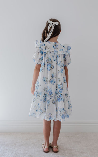 Embroidered Dress - Blue Rose