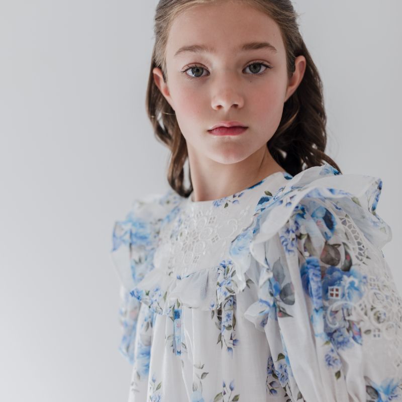 Embroidered Dress - Blue Rose