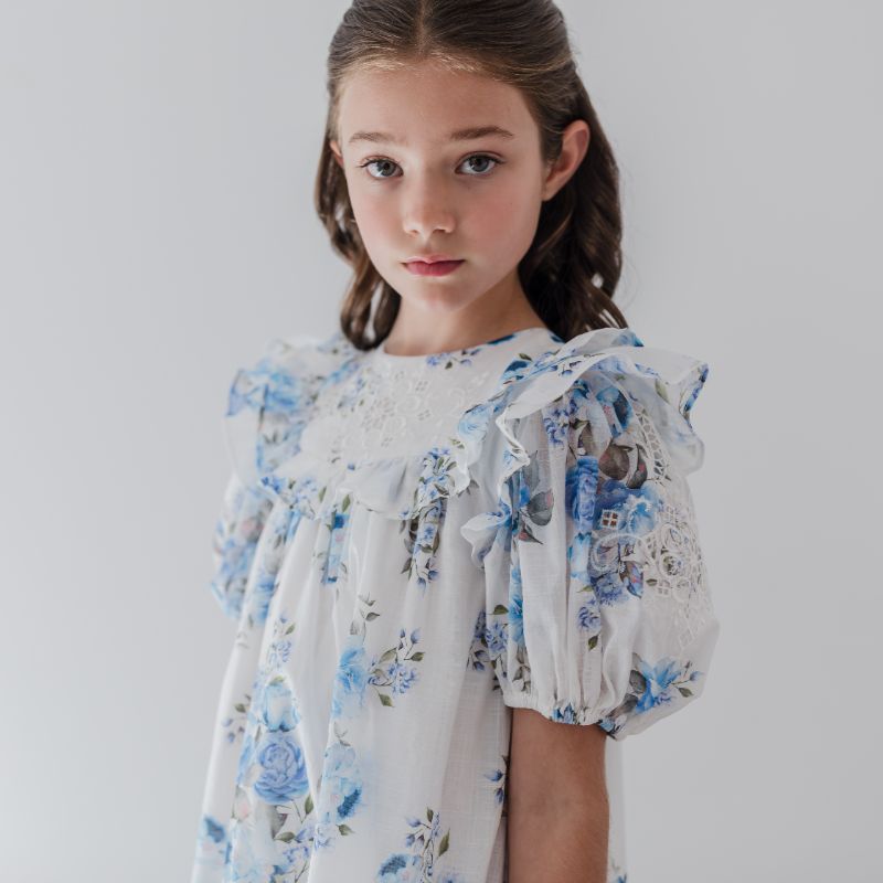 Embroidered Dress - Blue Rose