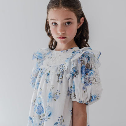 Embroidered Dress - Blue Rose