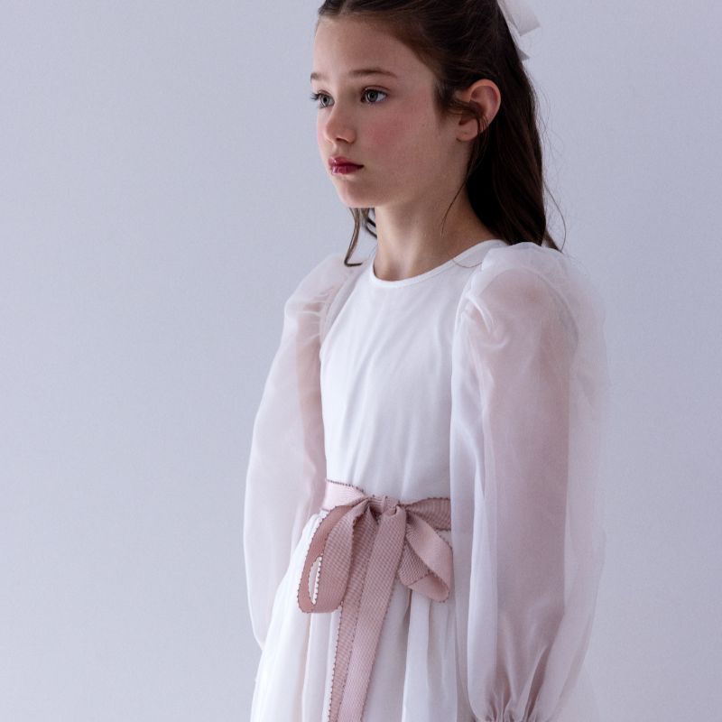 Embroidered Organza Gown - Ivory &amp; Pink