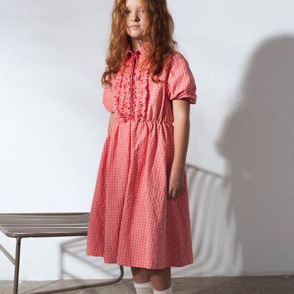 Aeolian Dress - Coral Checks
