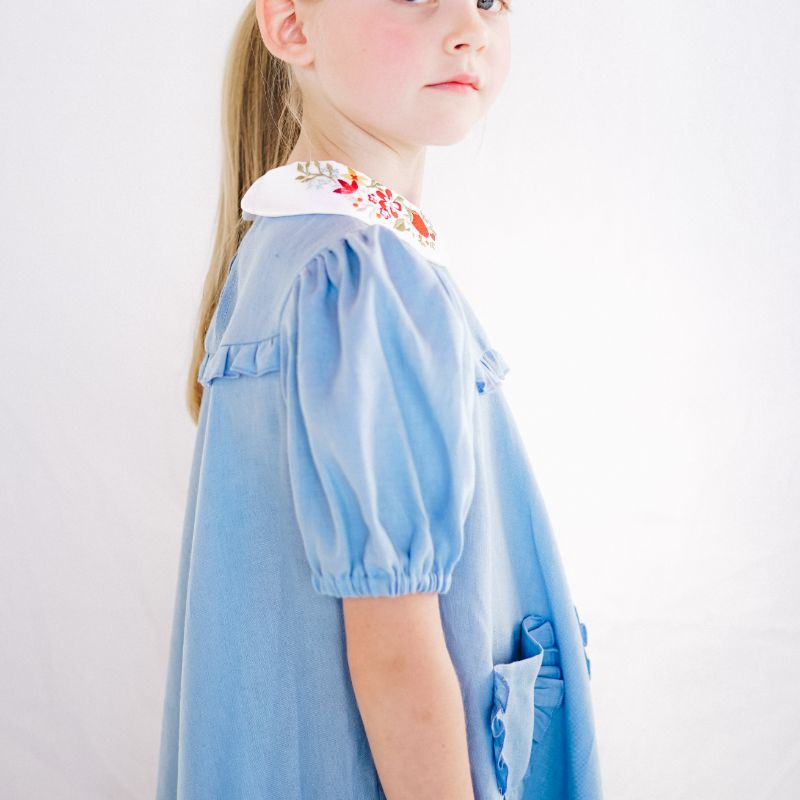 Embroidered Collar Dress - Blue