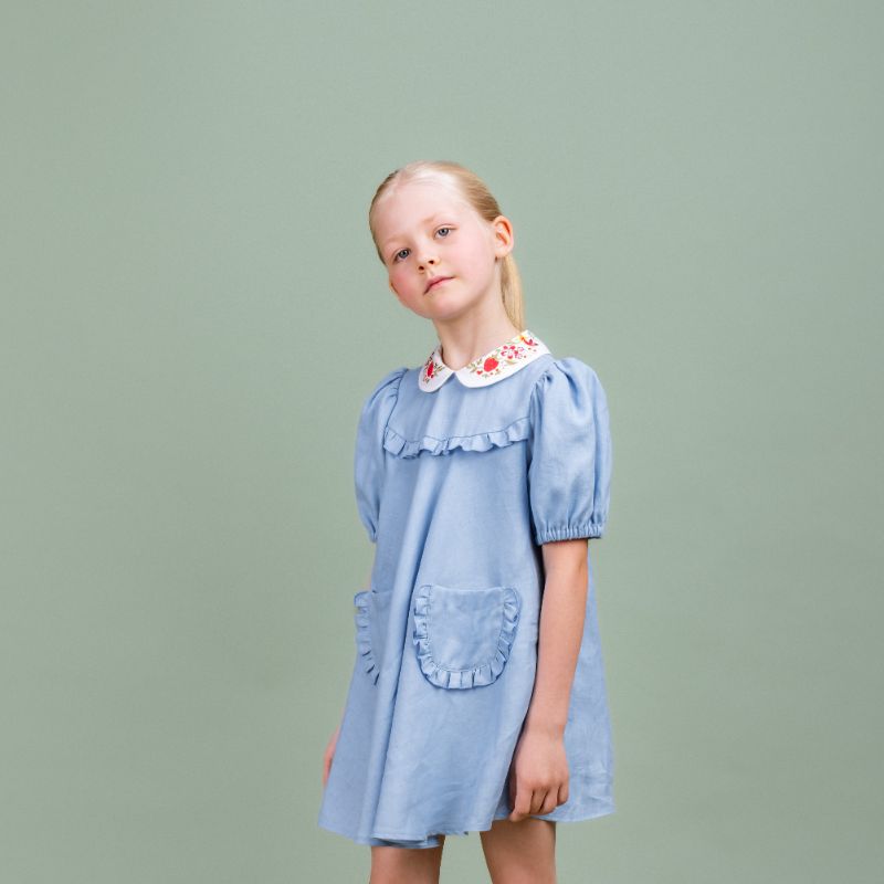 Embroidered Collar Dress - Blue