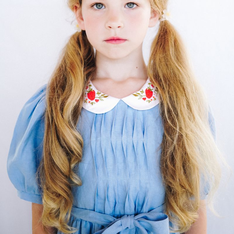 Embroidered Collar Belt Dress - Blue