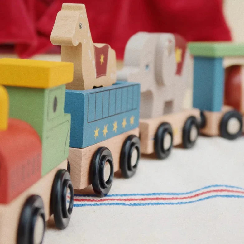 Wooden Animal Train - Multi
