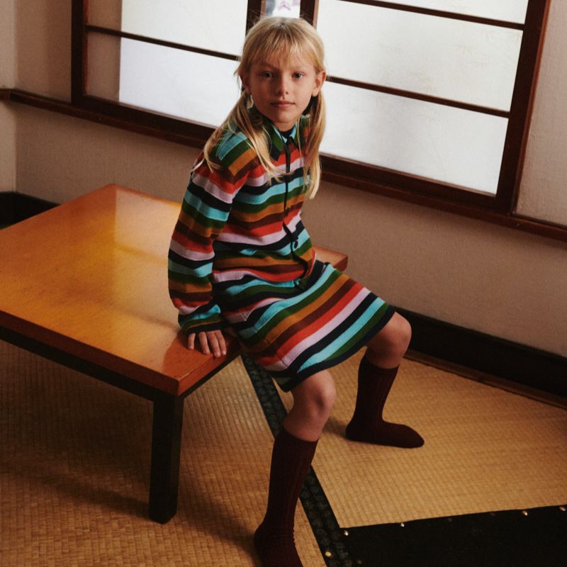 Striped Skirt - Multi Stripe