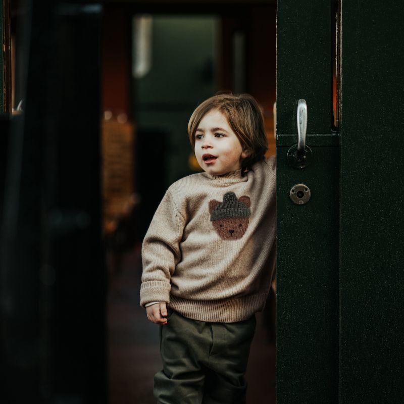 Denn Sweater - Biscotti