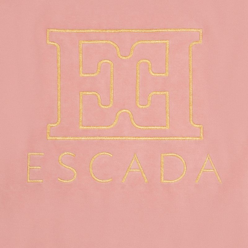 Logo Blanket - Rose