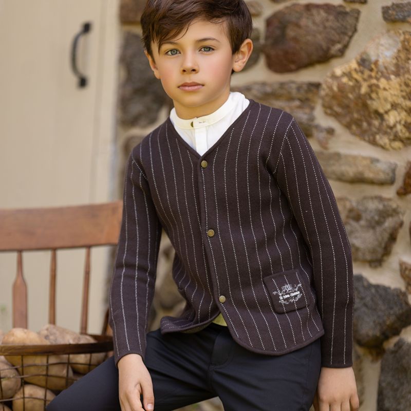 Pinstripe Sweater - Brown