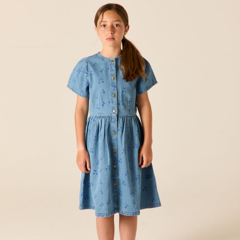 Elspeth Dress - Denim