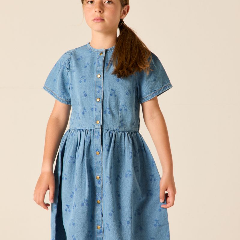 Elspeth Dress - Denim