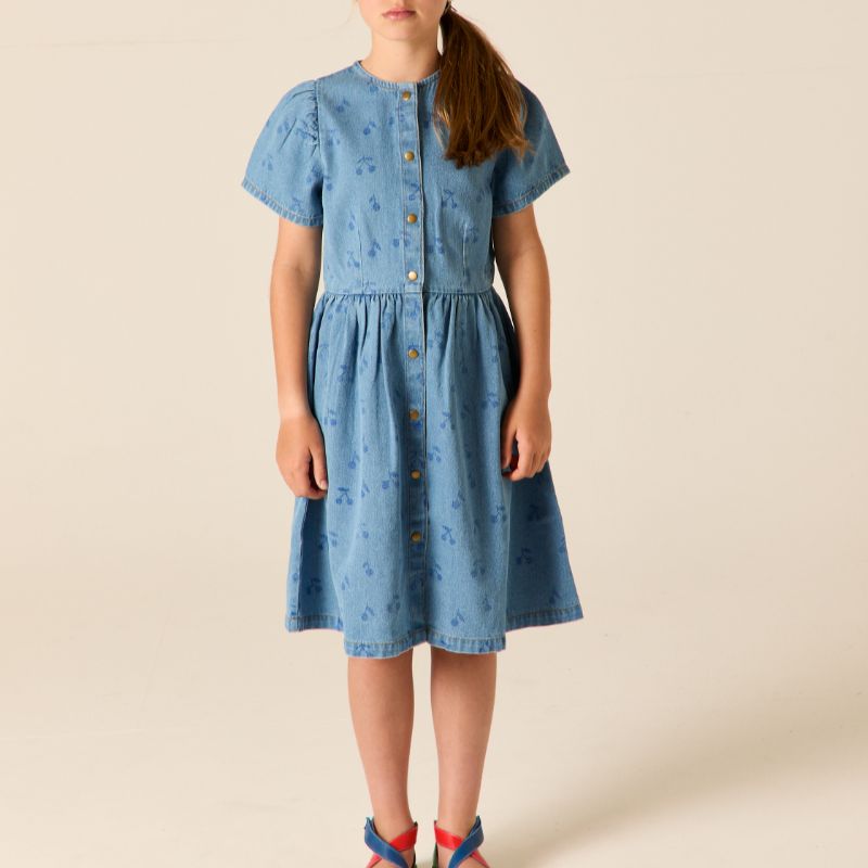 Elspeth Dress - Denim