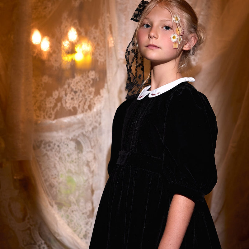 Velvet Embroidered Collar Gown - Black