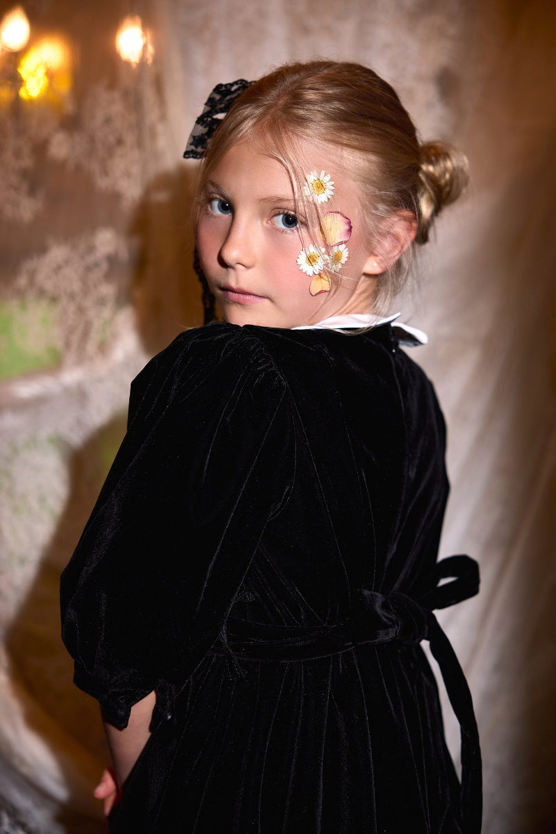 Velvet Embroidered Collar Gown - Black