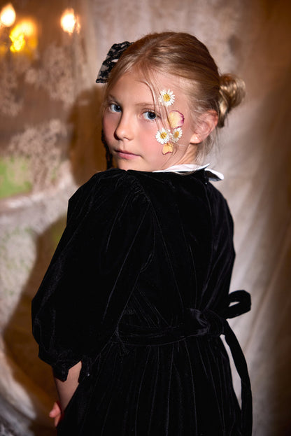 Velvet Embroidered Collar Gown - Black