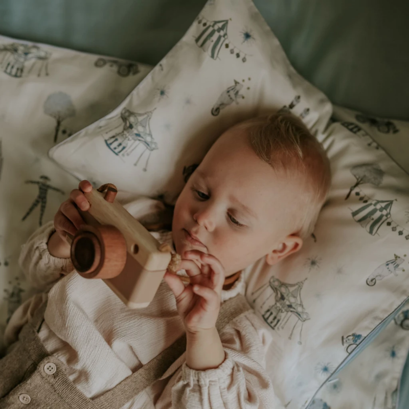 Toddler Pillowcase - Wonderland Aqua