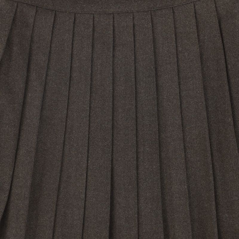 Wool Pleat Skirt - Brown