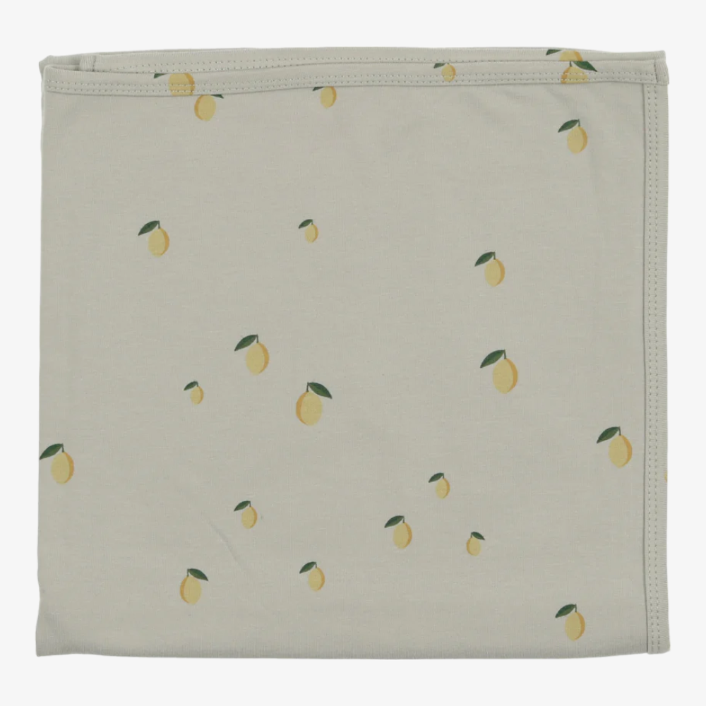 Lilette Printed Fruit Take Home Sets - Mint-lemon