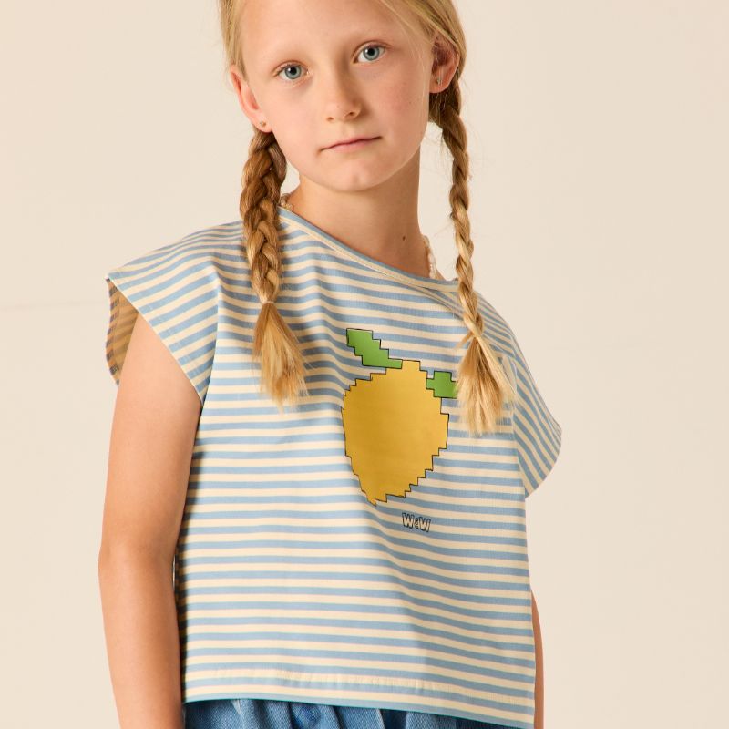 Crop Top - Mist Stripe