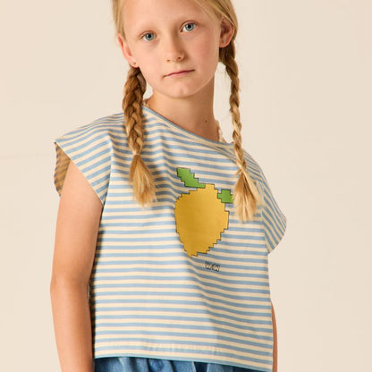 Crop Top - Mist Stripe