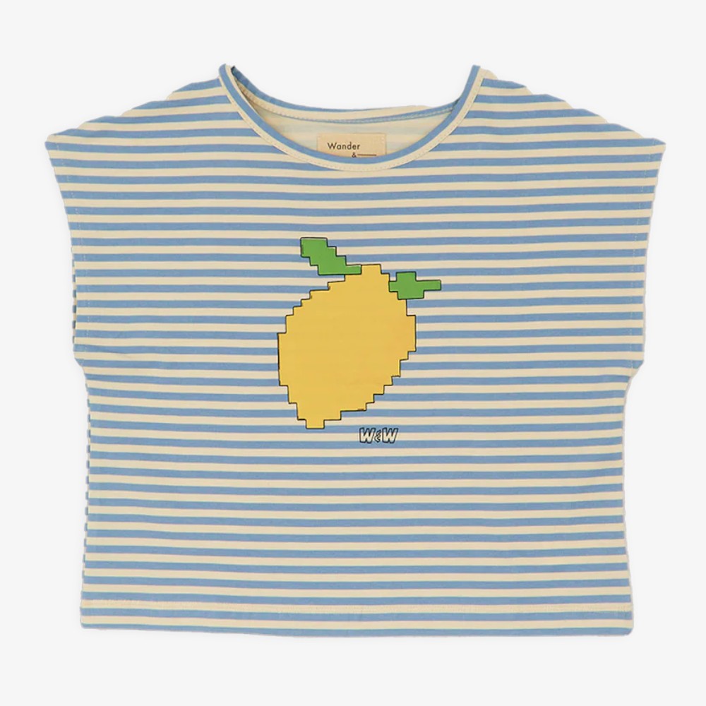 Crop Top - Mist Stripe