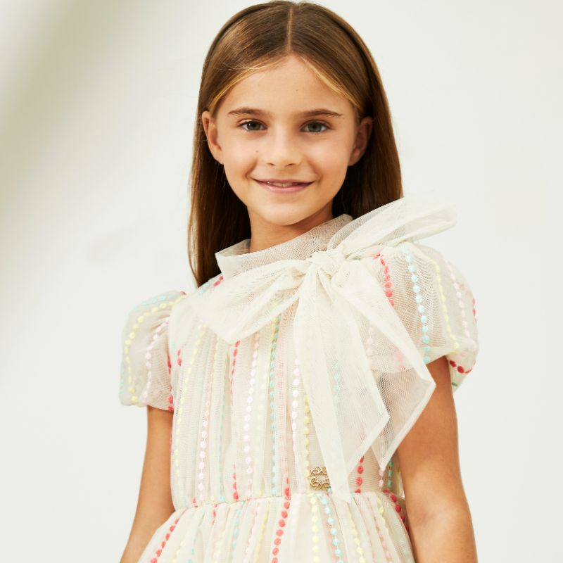 Embroidered Lace Dress - Multi