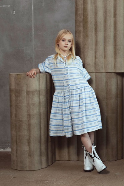 Fern Dress - Blue