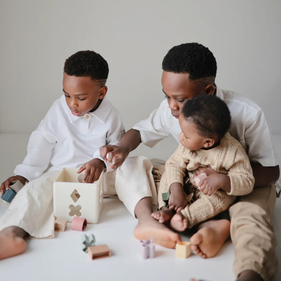 Shape Sorting Box - Multi