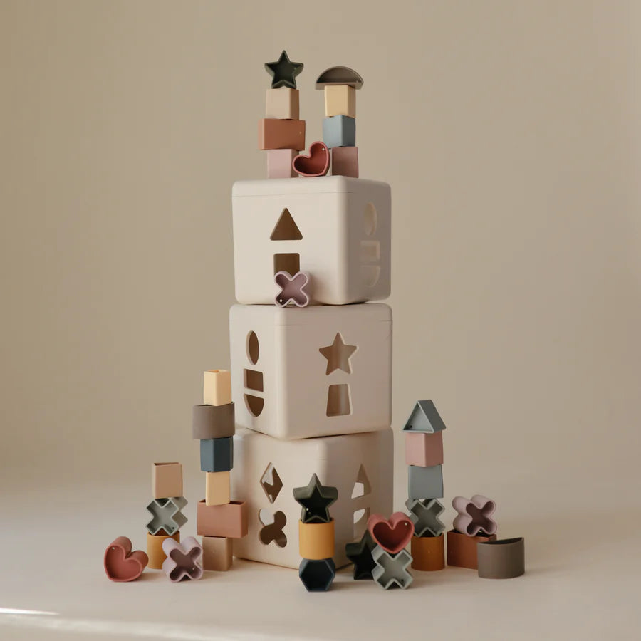 Shape Sorting Box - Multi