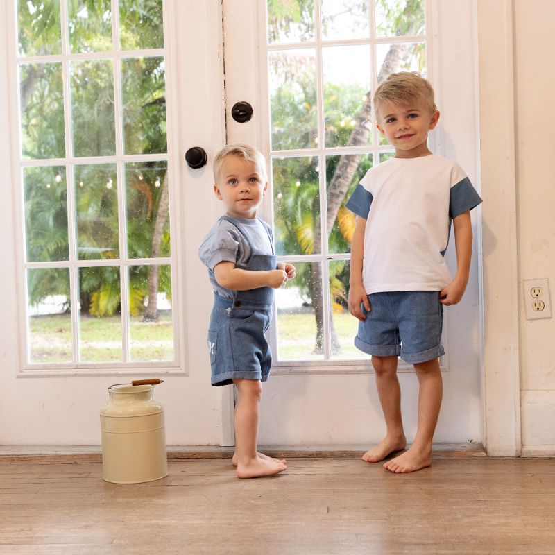 Hollis T-Shirt - Denim