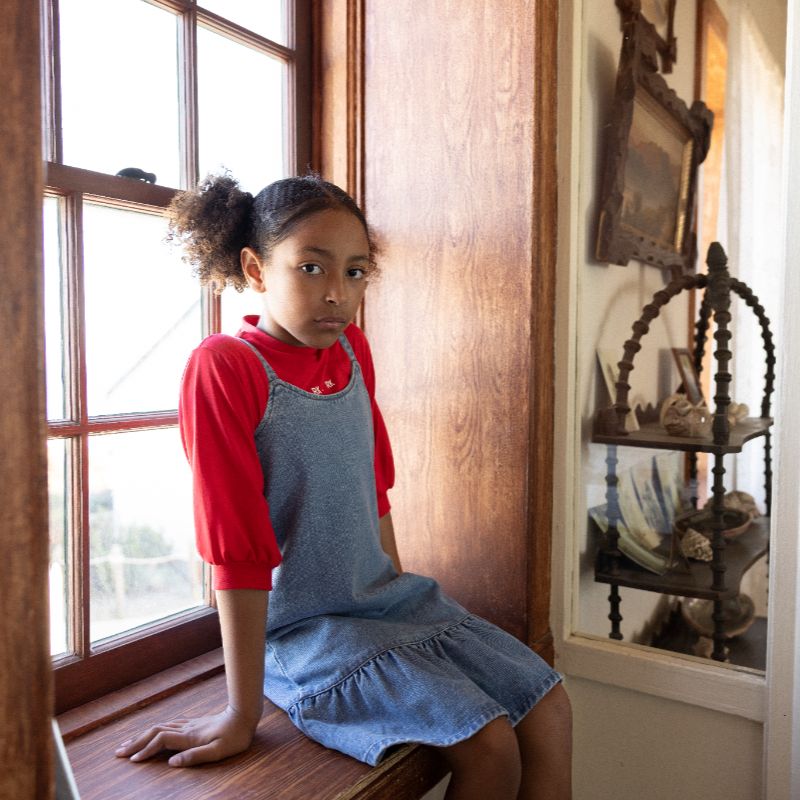 Hollis Ruffle Dress - Denim