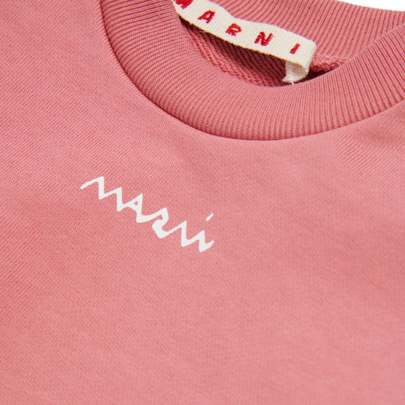 Waisted Sweatshirt - Pink
